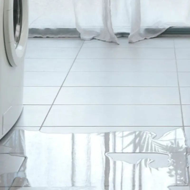 Appliance Leak Cleanup in Buckeye Lake, OH