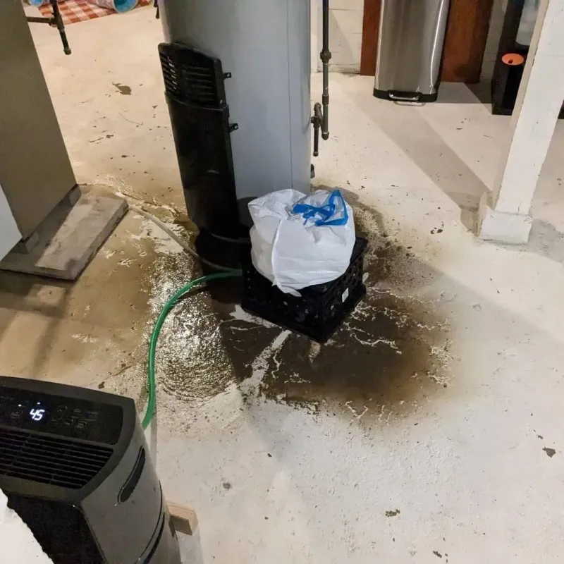 Sewage Backup Cleanup Service in Buckeye Lake, OH
